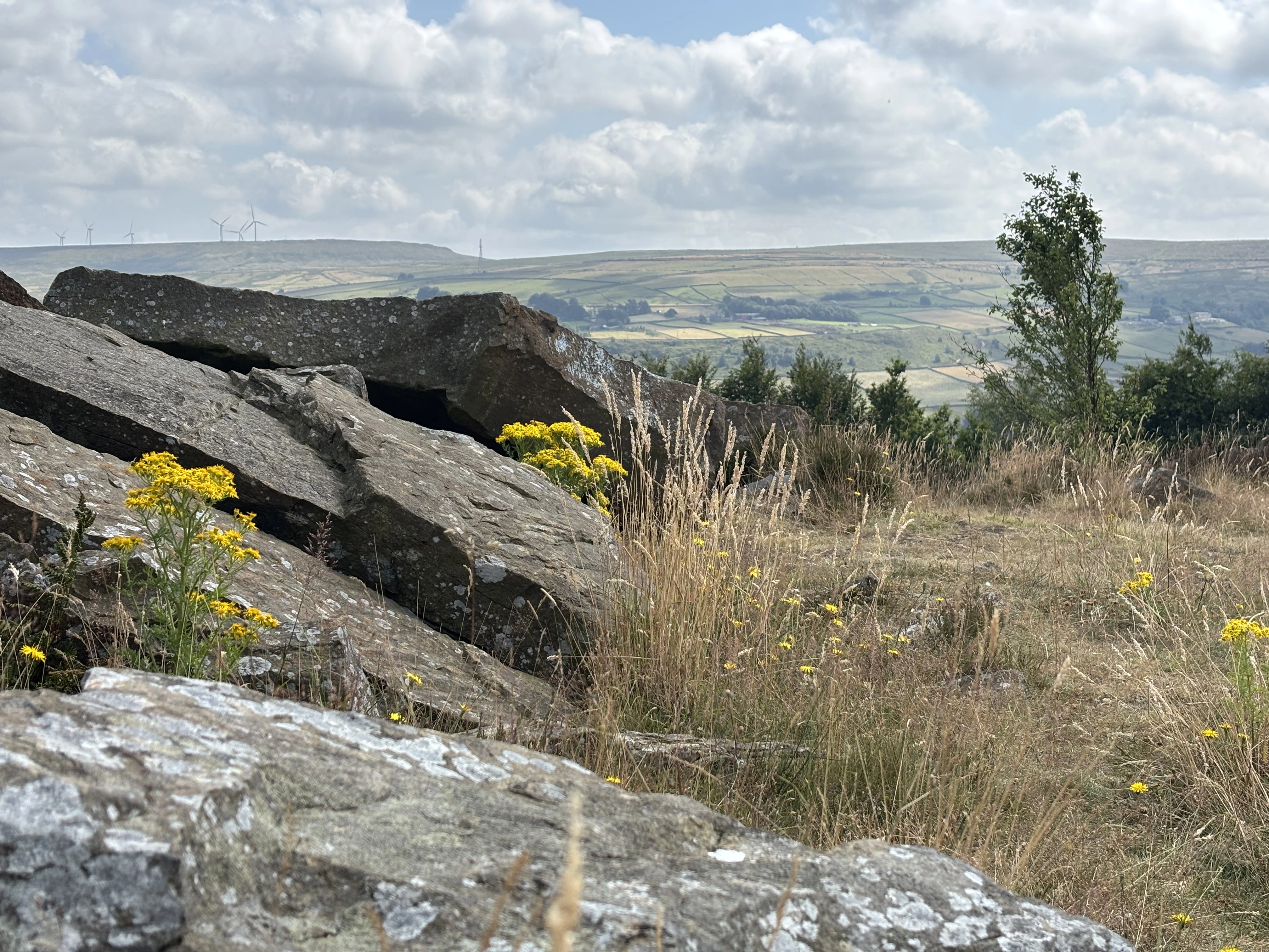 Wild moorland near Haworth in Brontë Country